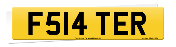 Registration number F514 TER